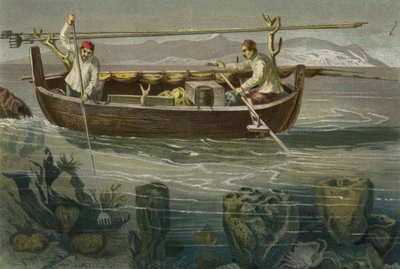 Pesca di spugne sulla costa dalmata da European School